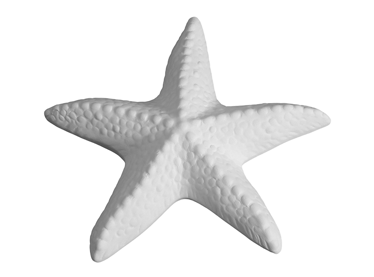 DIY Ceramic - Spiny Starfish