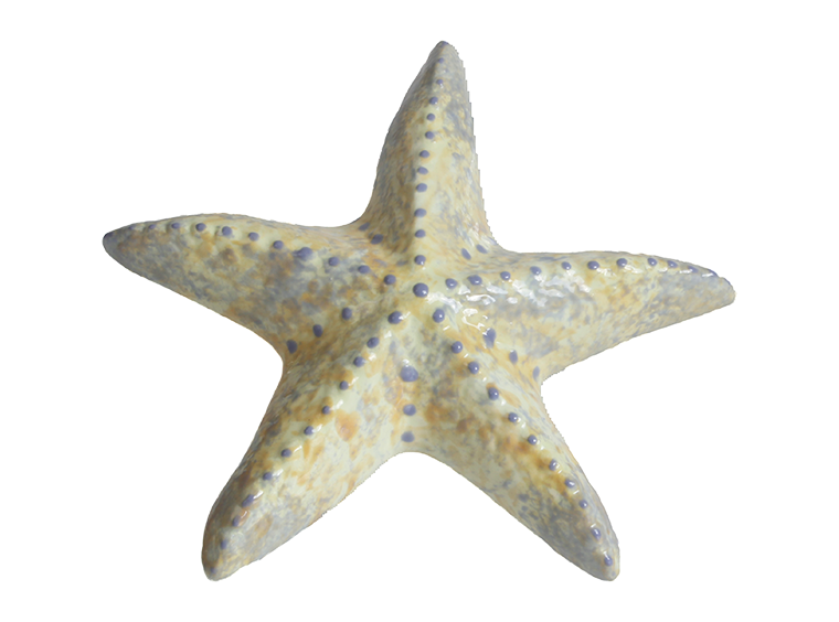 DIY Ceramic - Spiny Starfish