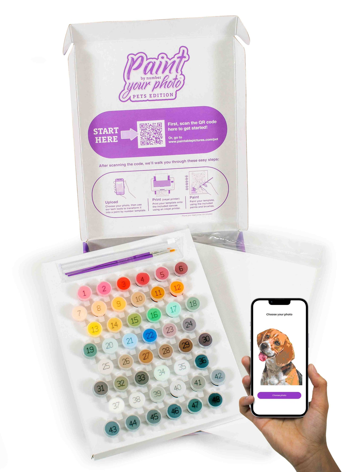 Paint your Photo by Number | Pets Edition
