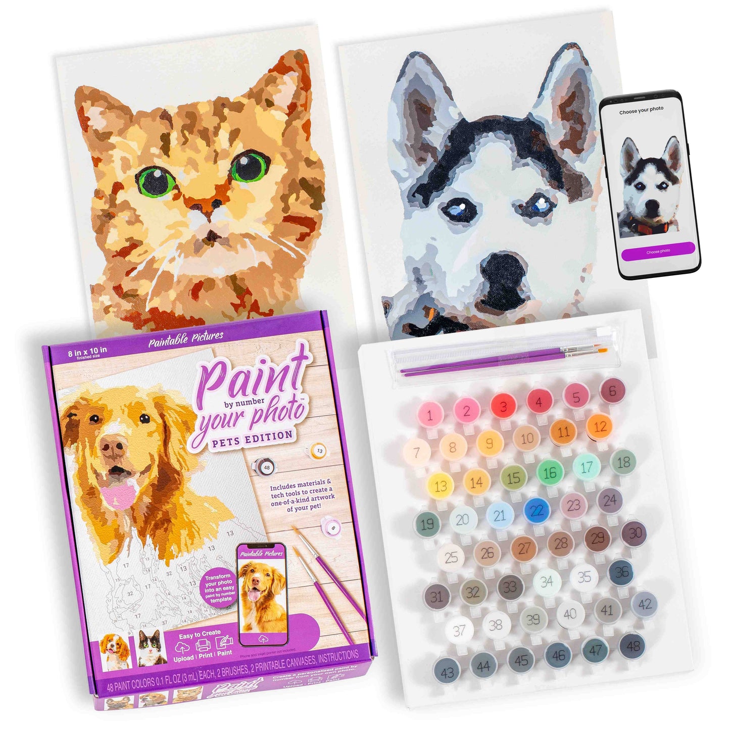 Paint your Photo by Number | Pets Edition