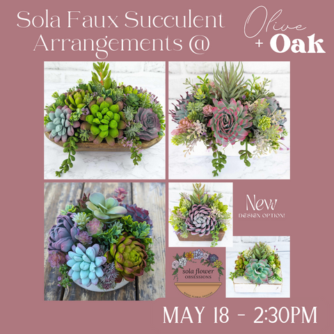 Sola Succulent Arrangement Workshop - May 18th @ 2:30pm