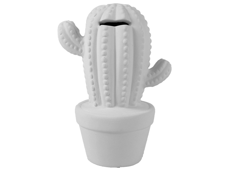 DIY Ceramic - Cactus Bank