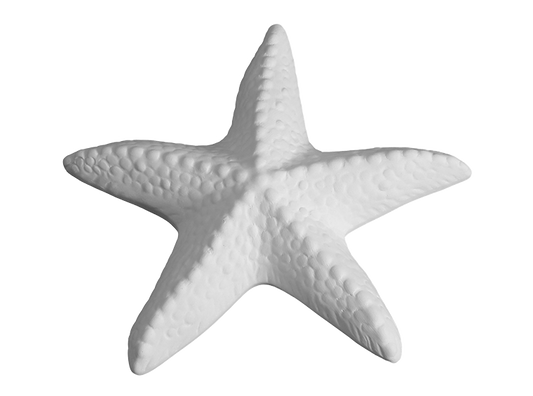 DIY Ceramic - Spiny Starfish