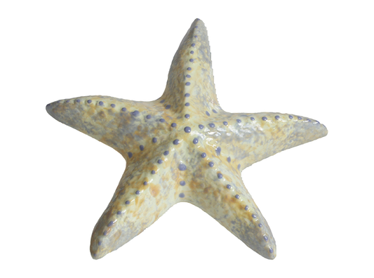 DIY Ceramic - Spiny Starfish