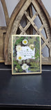 Pressed Flower DIY Frame Workshop - March 15 @ 1pm