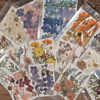 Pressed Flower DIY Frame Workshop - May 8 @ 5:30pm