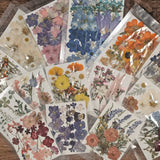 Pressed Flower DIY Frame Workshop - March 15 @ 1pm