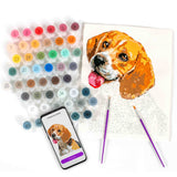 Paint your Photo by Number | Pets Edition