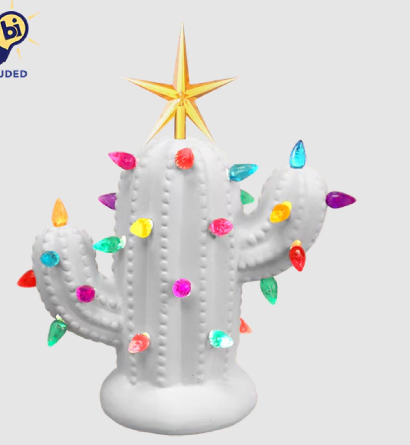 DIY Ceramic - Small Christmas Cactus